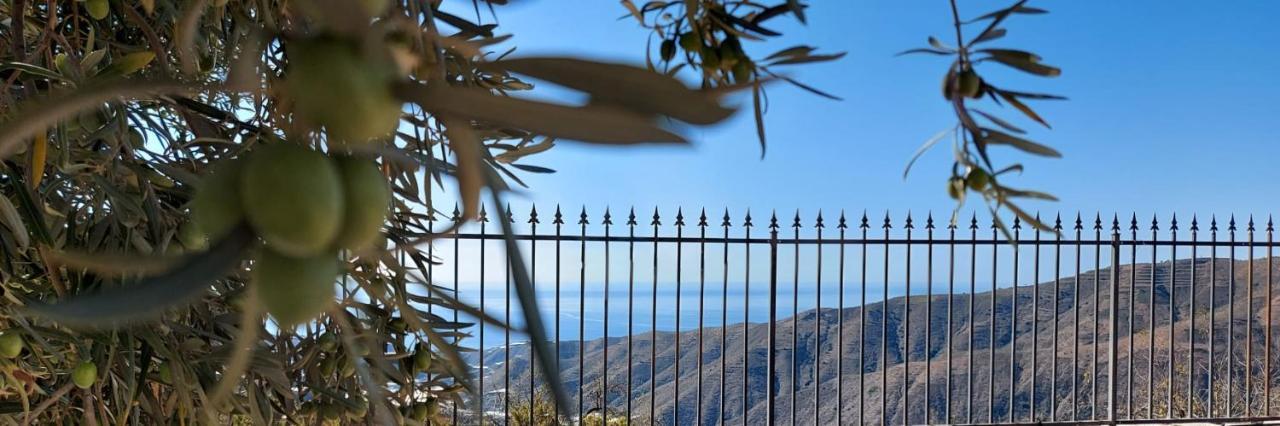Villa Cortijo Blanco Albondon Esterno foto