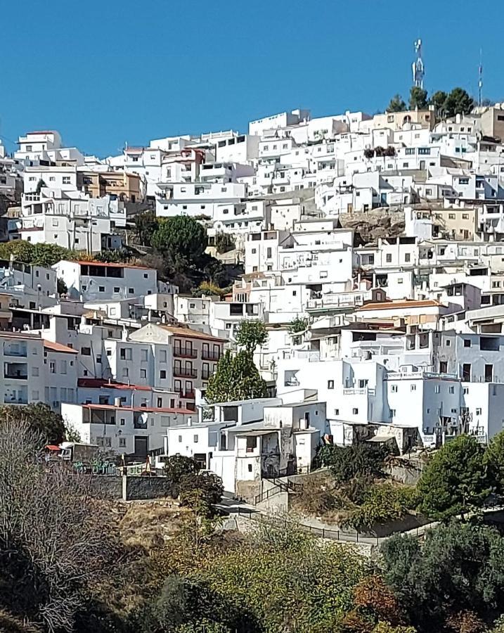 Villa Cortijo Blanco Albondon Esterno foto
