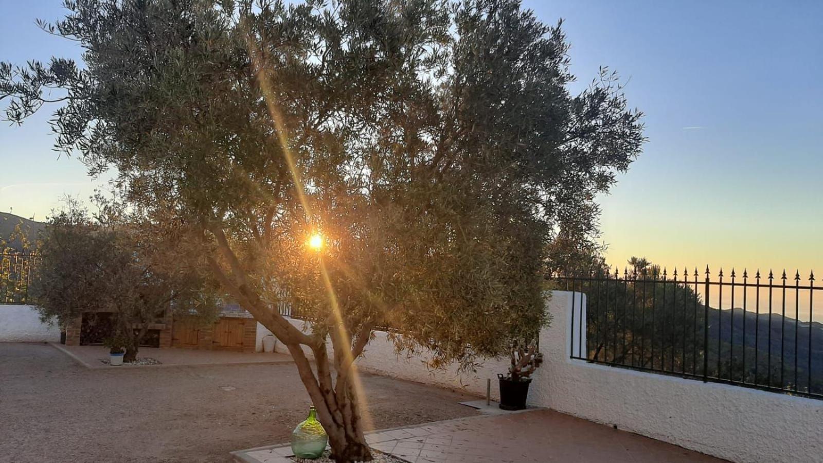 Villa Cortijo Blanco Albondon Esterno foto