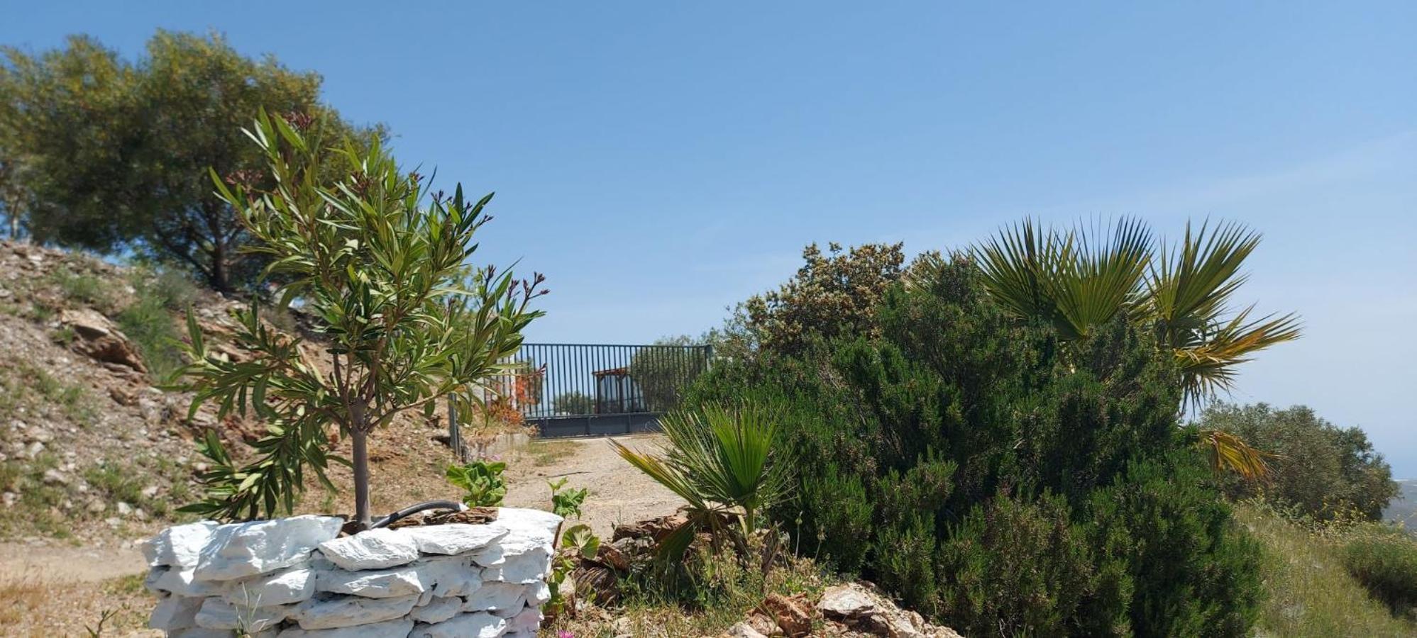 Villa Cortijo Blanco Albondon Esterno foto